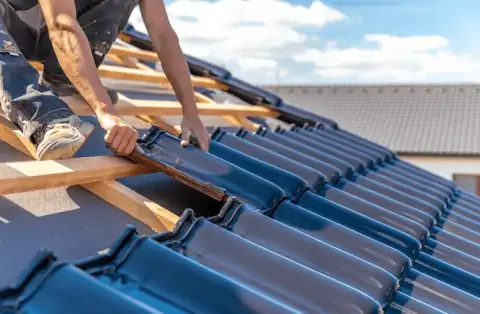 Couverture - Sorbiers