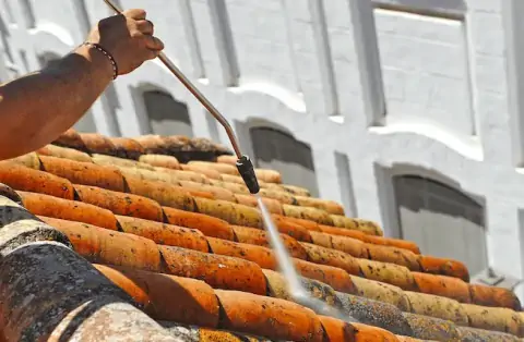 Nettoyage de toitures - Sorbiers